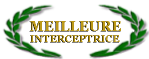Palme d'or Palme